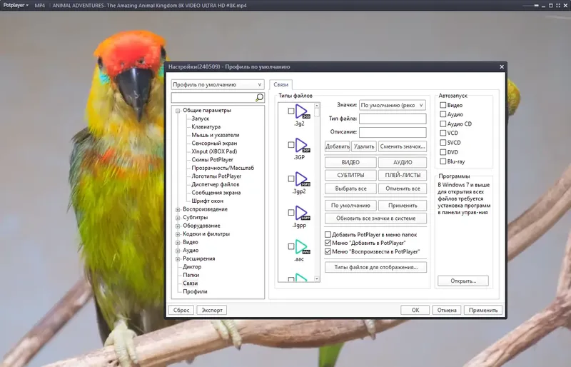 Установка PotPlayer 240509 (1.7.22232) RePack (& portable) by elchupacabra [Multi Ru]