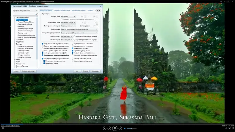 Установка PotPlayer 250724 (1.7.22582) Beta (x64) RePack (& Portable) by elchupacabra [Multi Ru]