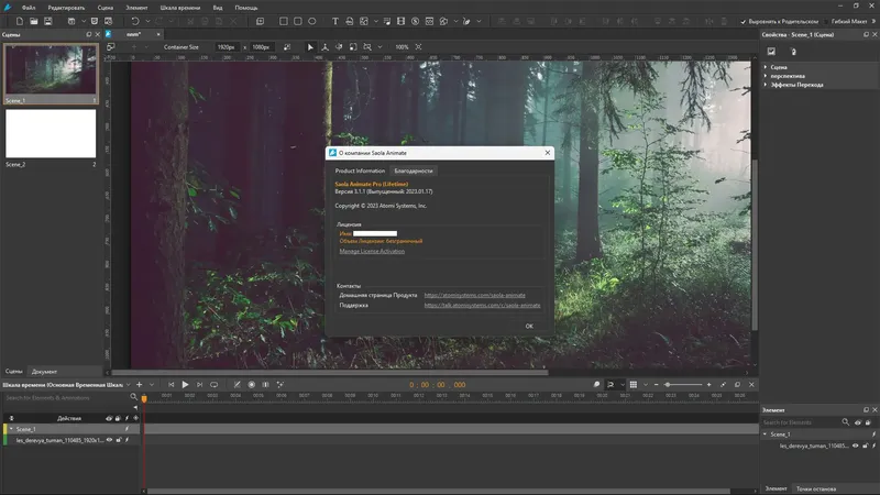 Установка Saola Animate Pro 3.1.1 RePack (& Portable) by TryRooM [Multi Ru]