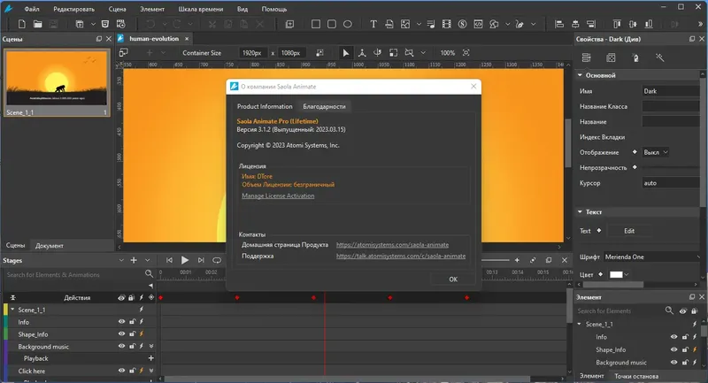 Установка Saola Animate Pro 3.1.2 RePack (& Portable) by TryRooM [Multi Ru]