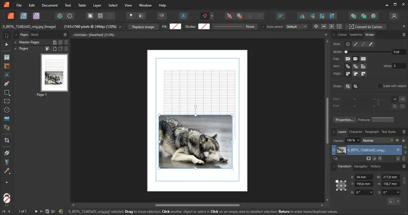 Установка Serif Affinity Publisher 2.2.1.2075 (x64) Portable by 7997 [Multi]