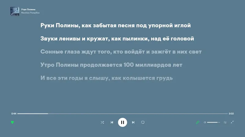 Установка Spotify 1.2.20.1214 (Repack & Portable) by elchupacabra [Multi Ru]