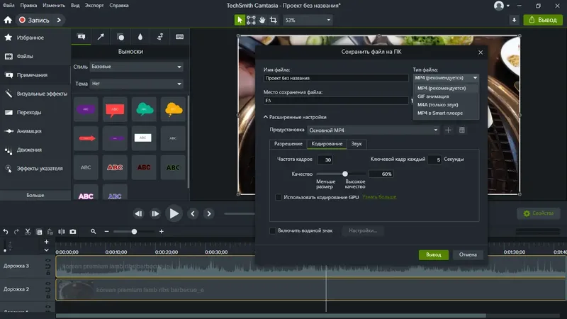 Установка TechSmith Camtasia 2024 24.0.0 (Build 1041) RePack by elchupacabra [Multi Ru]