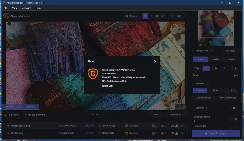 Установка Topaz Gigapixel AI 6.0.0 RePack (& Portable) by TryRooM [En]