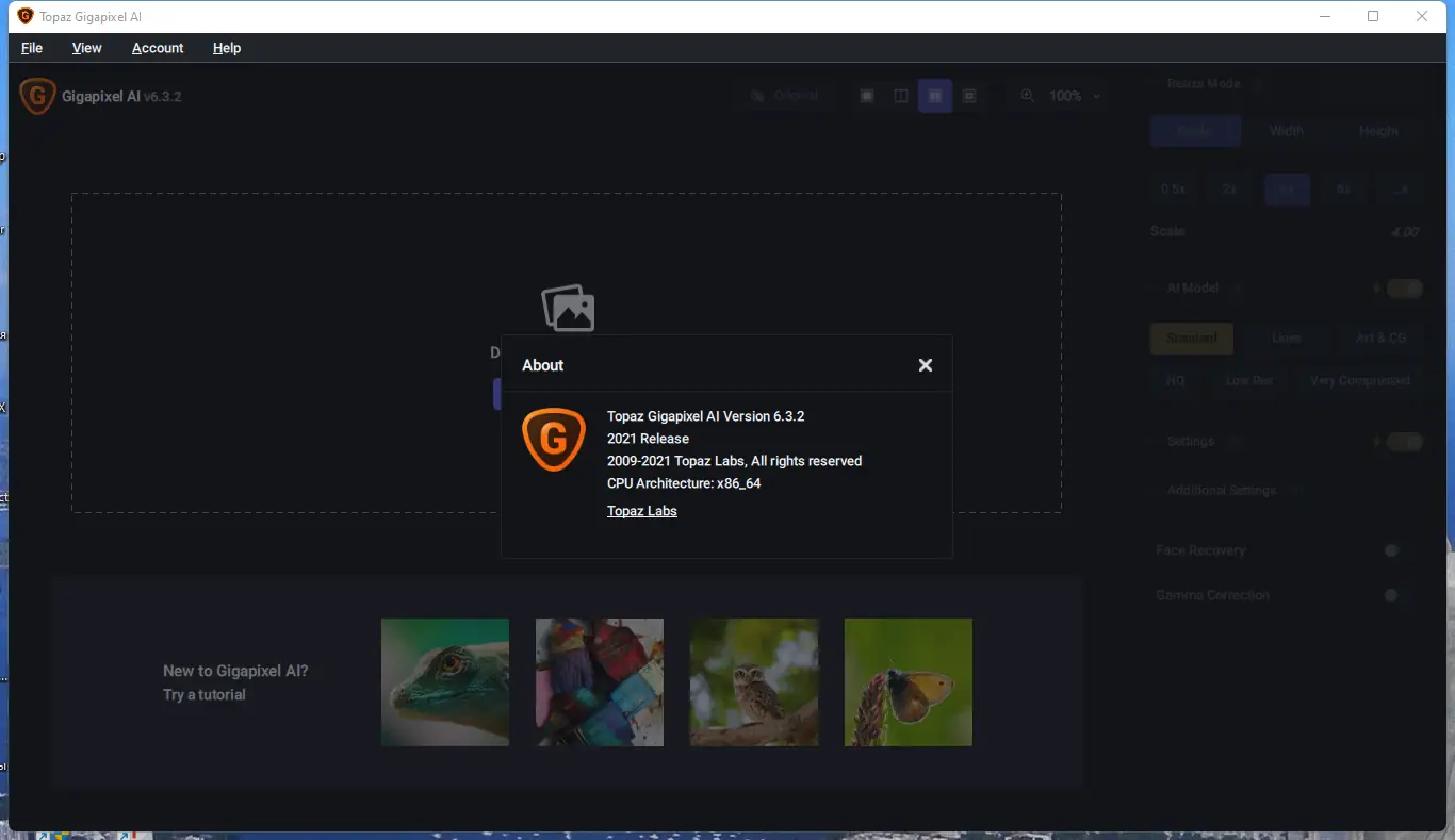 Установка Topaz Gigapixel AI 6.3.2 RePack (& Portable) by elchupacabra [En]