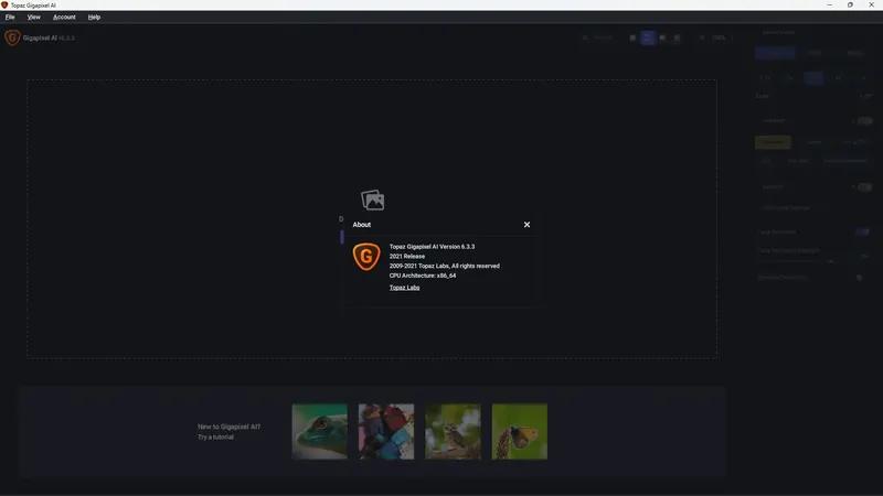 Установка Topaz Gigapixel AI 6.3.3 (x64) RePack (& Portable) by TryRooM [En]