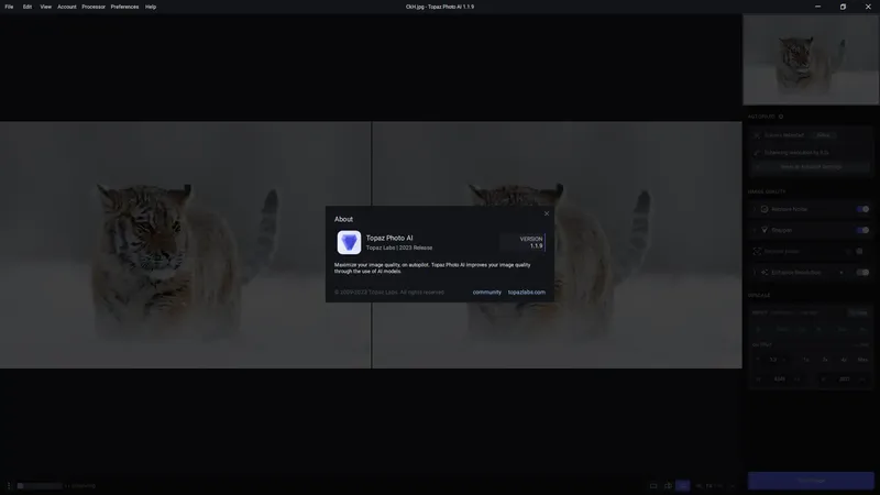 Установка Topaz Photo AI 1.1.9 RePack (& Portable) by TryRooM [En]