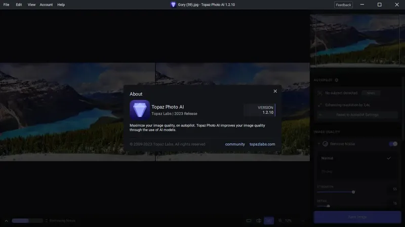 Установка Topaz Photo AI 1.2.10 (x64) RePack (& Portable) by elchupacabra [En]