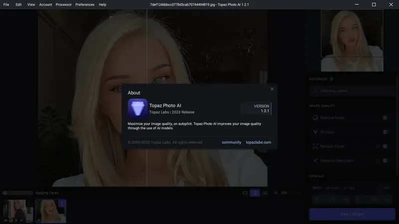 Установка Topaz Photo AI 1.2.1 (x64) RePack (& Portable) by elchupacabra [En]