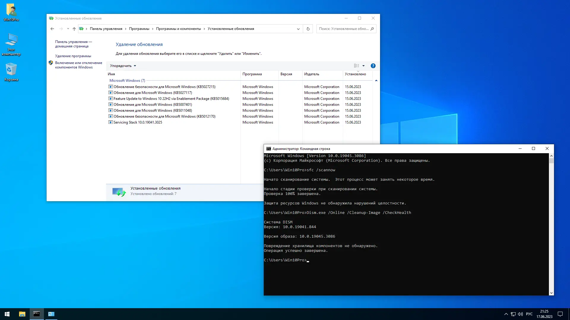Установка Windows 10 Pro 22H2 19045.3086 x64 by SanLex [Lightweight] [Ru En] (2023.06.17)