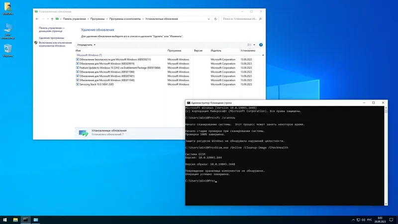 Установка Windows 10 Pro 22H2 19045.3448 x64 by SanLex [Lightweight] [Multi Ru] (2023.09.28)