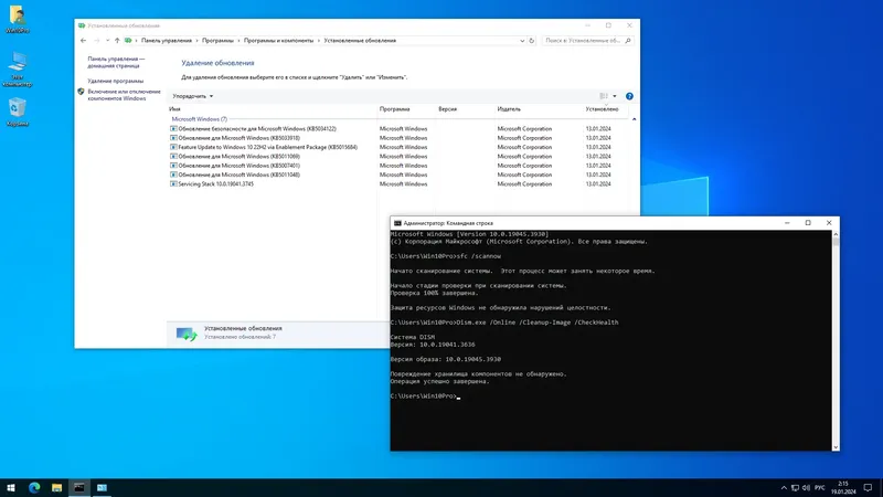 Установка Windows 10 Pro 22H2 19045.3930 x64 by SanLex [Lightweight] [Ru En] (2024.01.19)