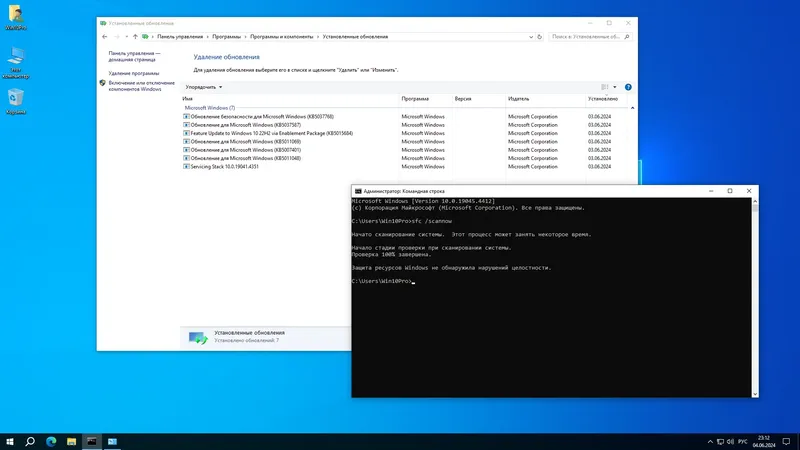 Установка Windows 10 Pro 22H2 19045.4412 x64 by SanLex [Lightweight] [Ru En] (2024.06.05)