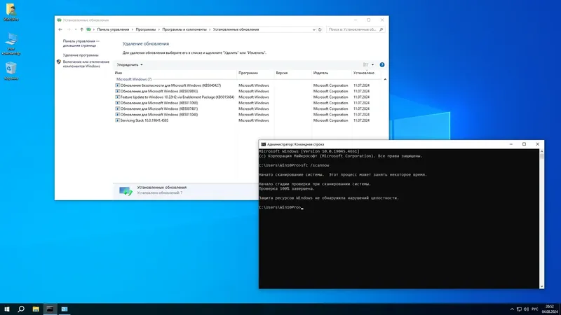 Установка Windows 10 Pro 22H2 19045.4651 x64 by SanLex [Lightweight] [Ru-En] (2024.08.05)