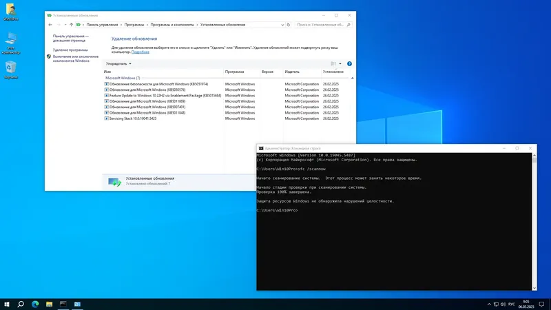 Установка Windows 10 Pro 22H2 19045.5487 x64 by SanLex [Lightweight] [Ru En] (2025.03.07)