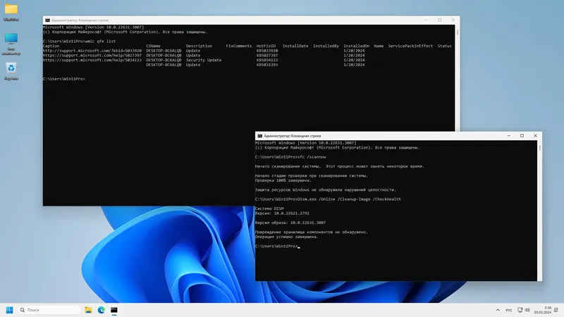 Установка Windows 11 Pro 23H2 22631.3007 x64 by SanLex [Lightweight] [Ru-En] (2024.02.05)