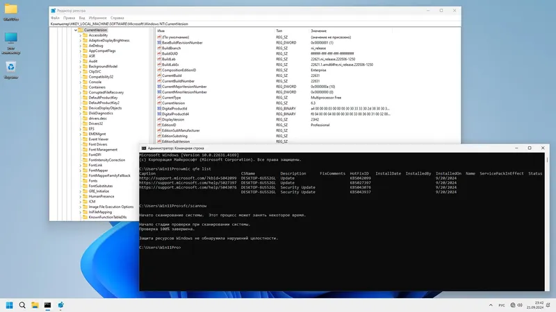 Установка Windows 11 Pro 23H2 22631.4169 x64 by SanLex [Lightweight] [Ru En] (2024.09.21)
