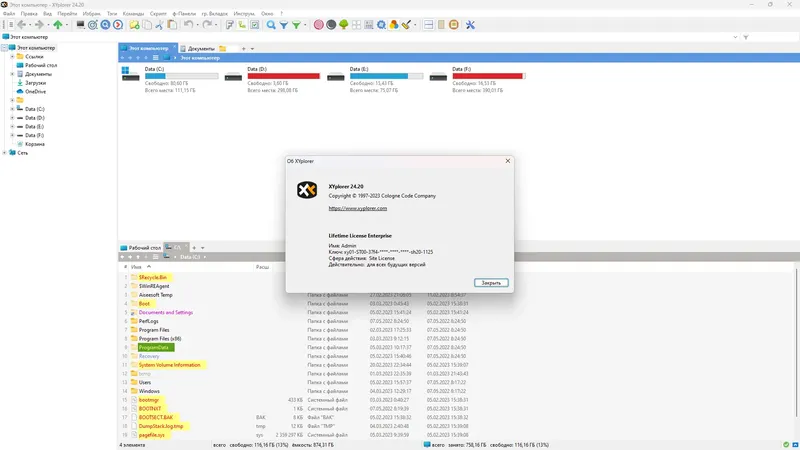 Установка XYplorer 24.20.0000 RePack (& Portable) by TryRooM [Multi Ru]